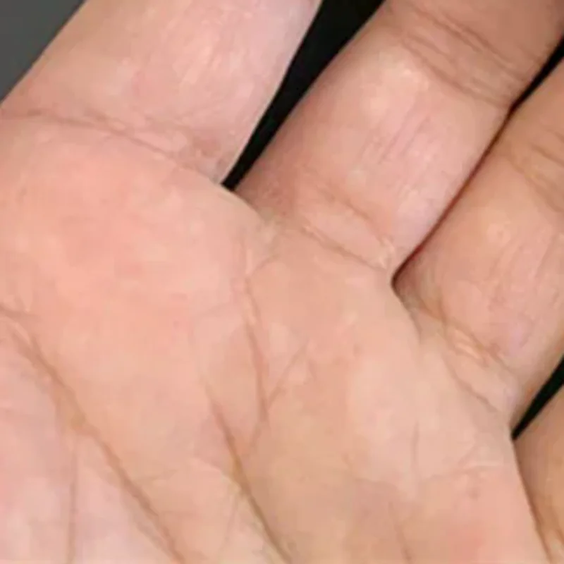 Набор скребков из нержавеющей стали, 1 шт., ультра острые скребки, удаляют остатки из стали, алюминия и других концов, дополнительный рычаг
Набор скребков из нержавеющей стали, 1 шт., ультра острые скребки, удаляют остатки из стали, алюминия и других концов, дополнительный рычаг