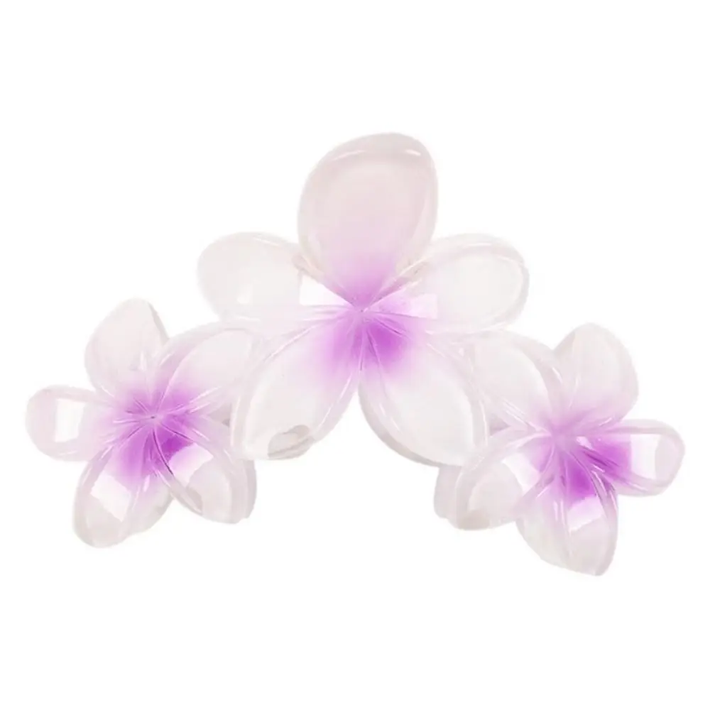Portable Gradient Design Hair Clip Claws Plumeria Non-Slip Gradient Flower Clips Cute Sweet Shark Hair Claw Women
Portable Gradient Design Hair Clip Claws Plumeria Non-Slip Gradient Flower Clips Cute Sweet Shark Hair Claw Women
