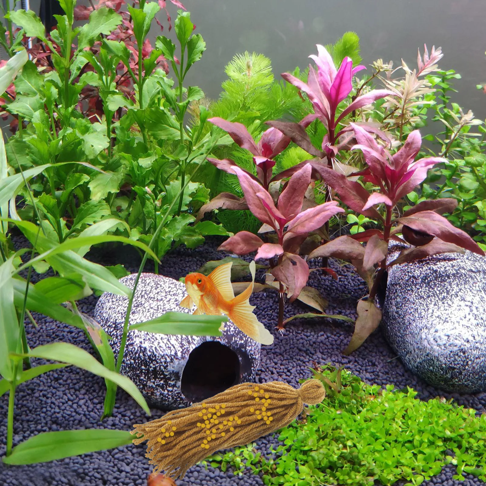 5pcs Fish Spawning Mops Breeding Brushes Tank Egg Laying Spawn Mop Aquarium Decorations Shrimp Tools Pet Supplies Aquatic
5pcs Fish Spawning Mops Breeding Brushes Tank Egg Laying Spawn Mop Aquarium Decorations Shrimp Tools Pet Supplies Aquatic