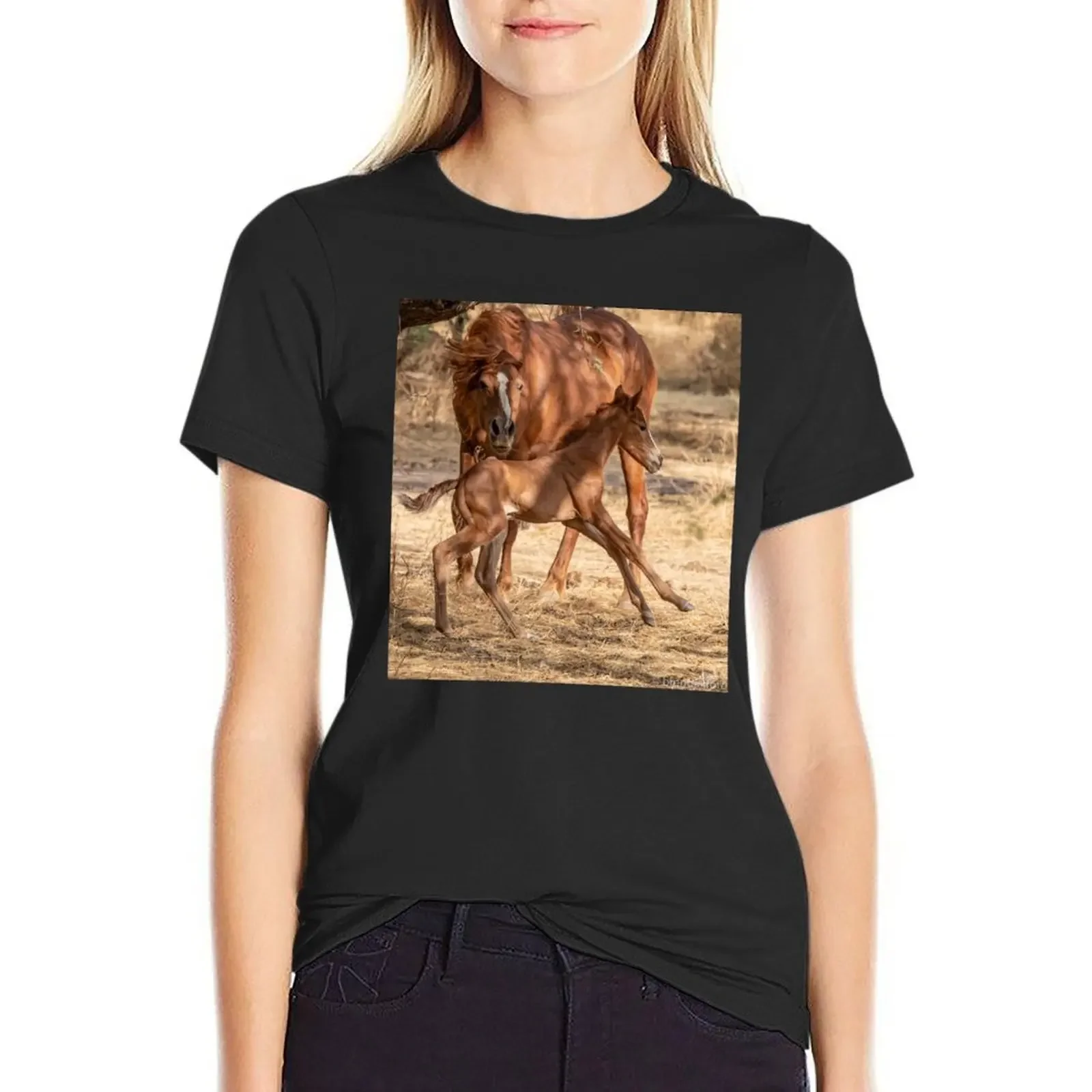 Salt River Wild Horses T-Shirt shirts graphic tees Blouse sports fans vintage t shirt Women
Salt River Wild Horses T-Shirt shirts graphic tees Blouse sports fans vintage t shirt Women