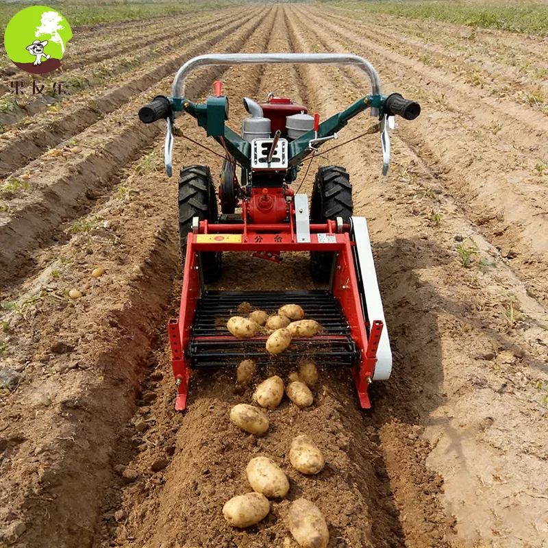 Potato Harvesting Machine Mini Sweet Potato Harvester Tiller Mini Tractor Potato Harvester
Potato Harvesting Machine Mini Sweet Potato Harvester Tiller Mini Tractor Potato Harvester
