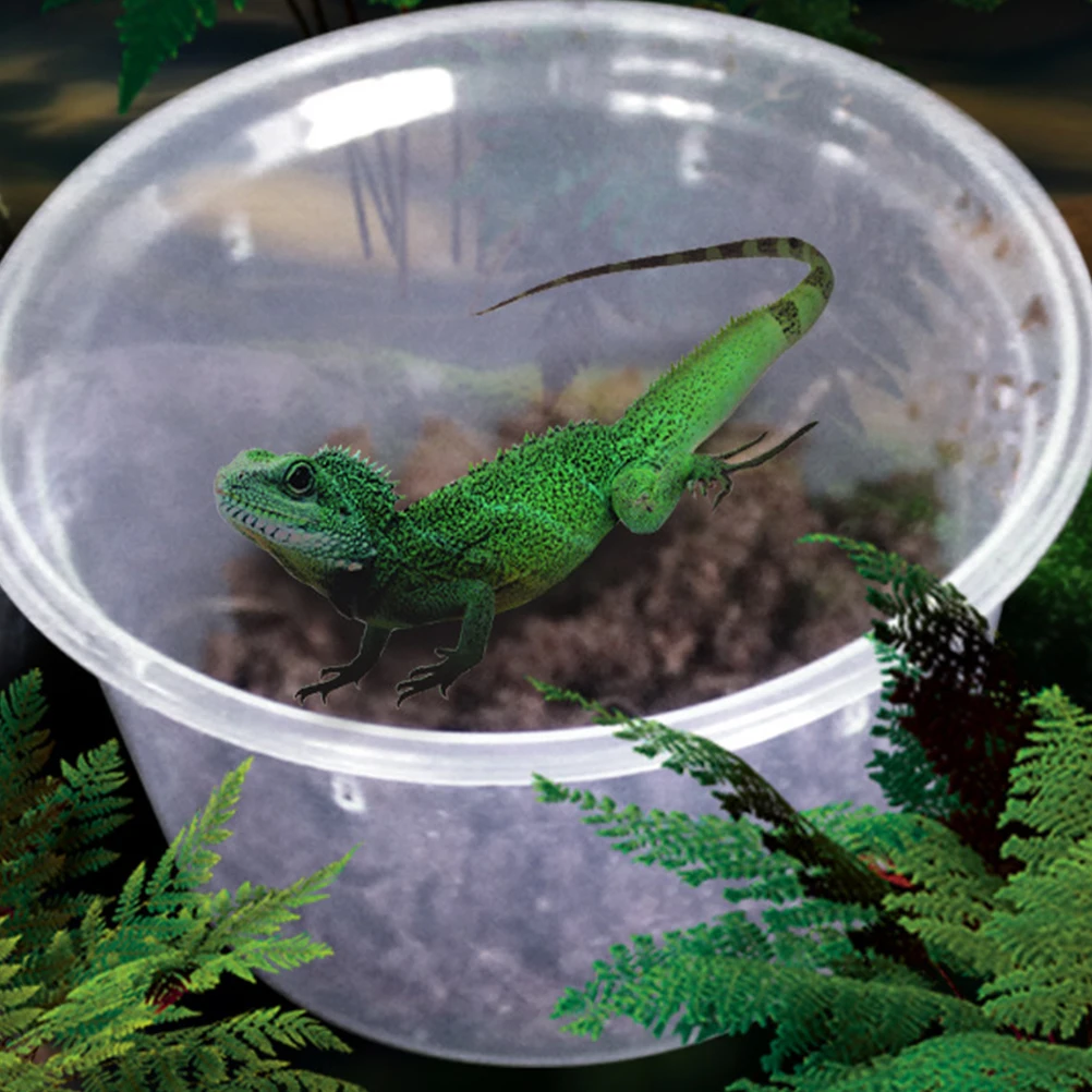 20pcs Reptile Breeding Boxes Insect Cage Feeding Set Lightweight Compact Gecko Lizard Plastic Aquarium
20pcs Reptile Breeding Boxes Insect Cage Feeding Set Lightweight Compact Gecko Lizard Plastic Aquarium