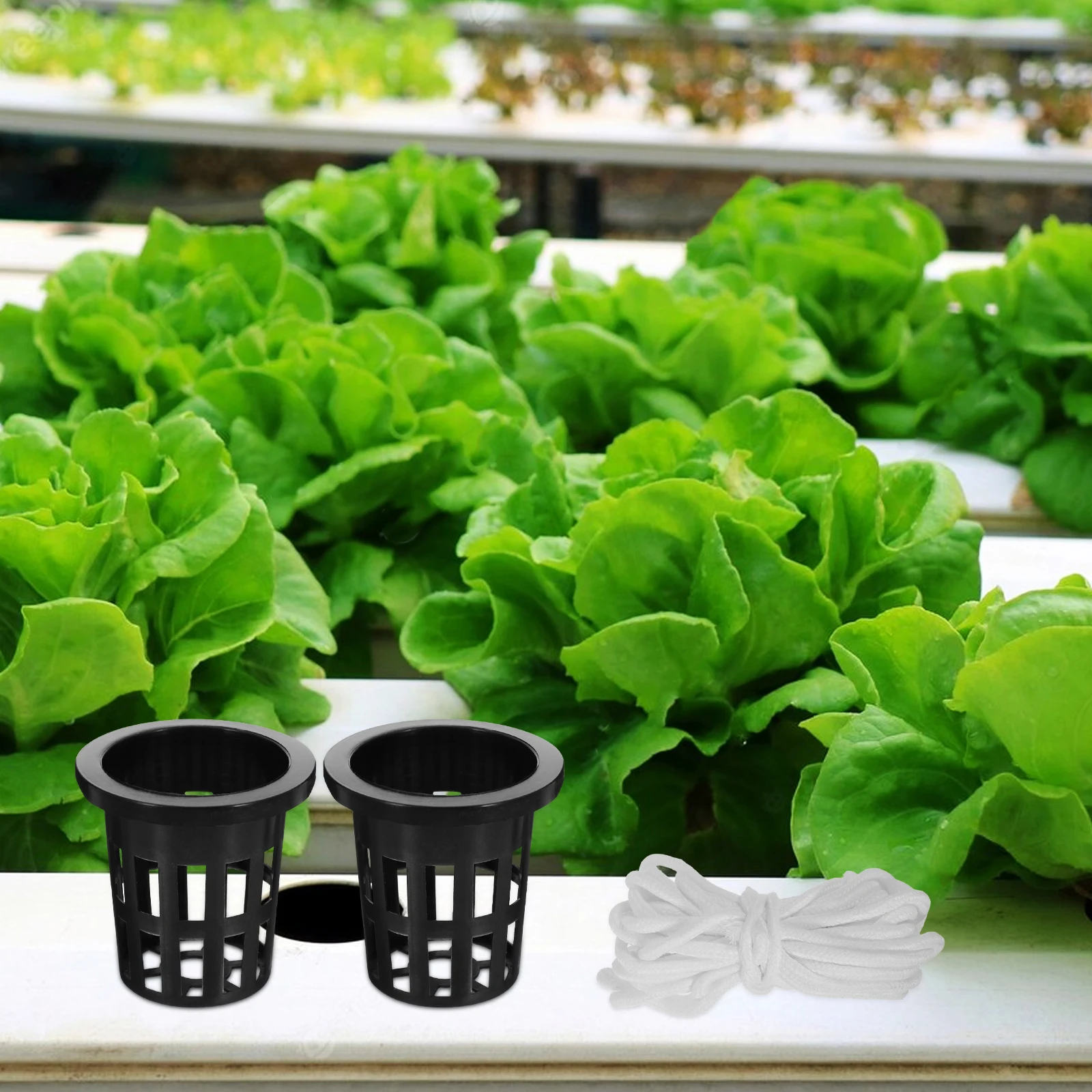 Planting Basket Set Hydroponic Pots Gardening Systems Vegetable Growing Flowers Plants Watering Device Net
Planting Basket Set Hydroponic Pots Gardening Systems Vegetable Growing Flowers Plants Watering Device Net