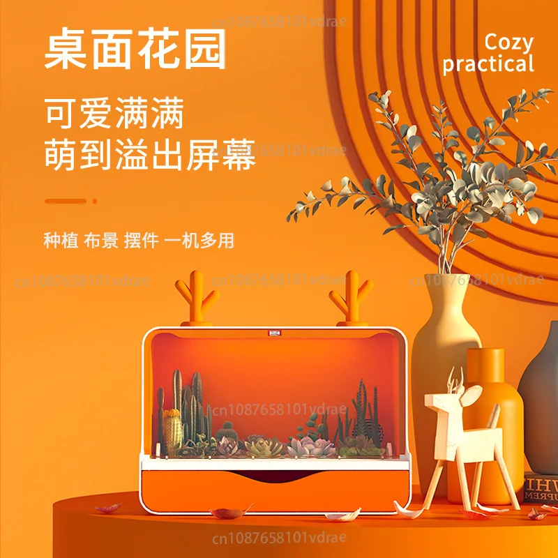 Desktop Garden Succulent Grower Plant Care Machine Cute Gift for Desktop Display Teaching Classroom Labor Class
Desktop Garden Succulent Grower Plant Care Machine Cute Gift for Desktop Display Teaching Classroom Labor Class