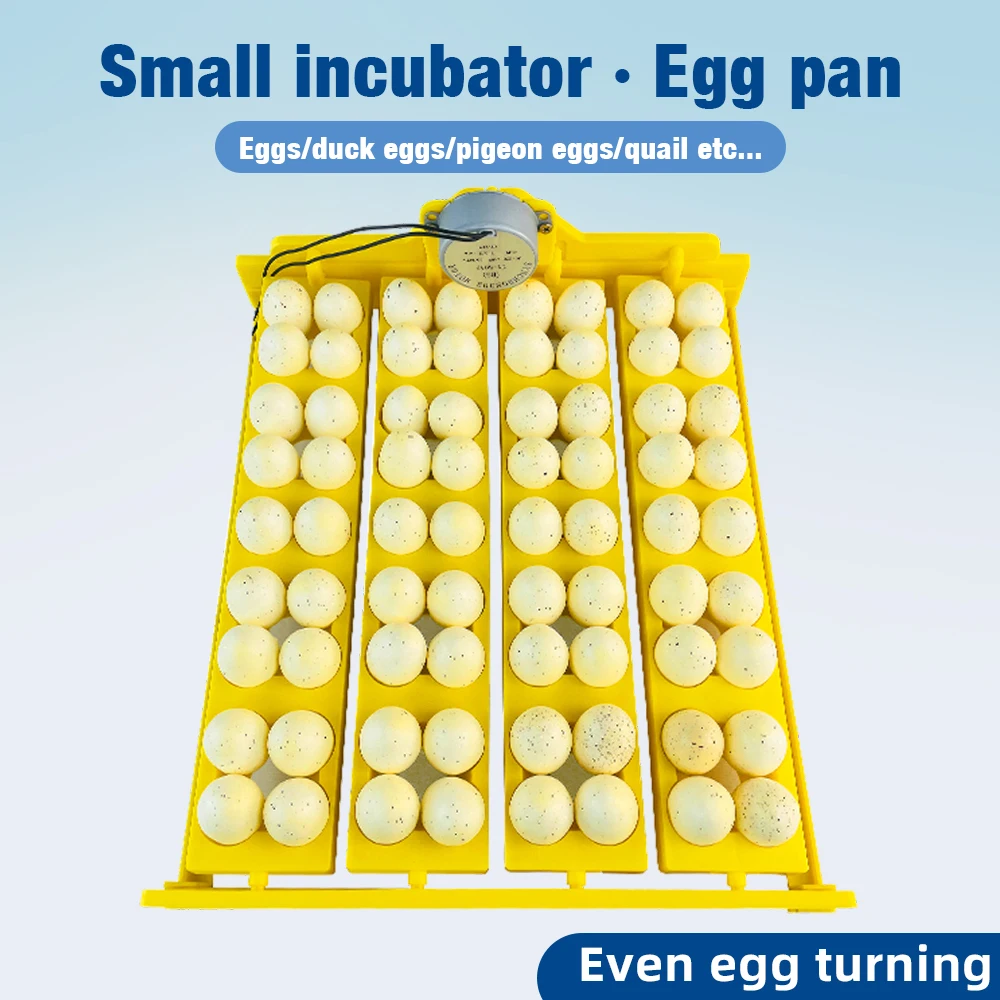 Автоматический инкубатор для яиц, поворотный лоток, лоток для инкубаторов для курицы, устройство для инкубации, поворотное оборудование для инкубации всех видов яиц
Автоматический инкубатор для яиц, поворотный лоток, лоток для инкубаторов для курицы, устройство для инкубации, поворотное оборудование для инкубации всех видов яиц