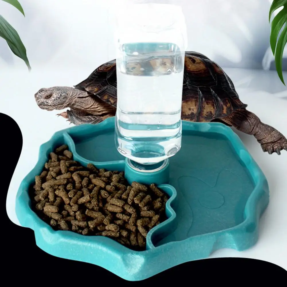Reptile Water Feeder Detachable Structure Plastic Food Dispenser Automatic Reptile Water Fountain for Turtle Bearded Dragon
Reptile Water Feeder Detachable Structure Plastic Food Dispenser Automatic Reptile Water Fountain for Turtle Bearded Dragon