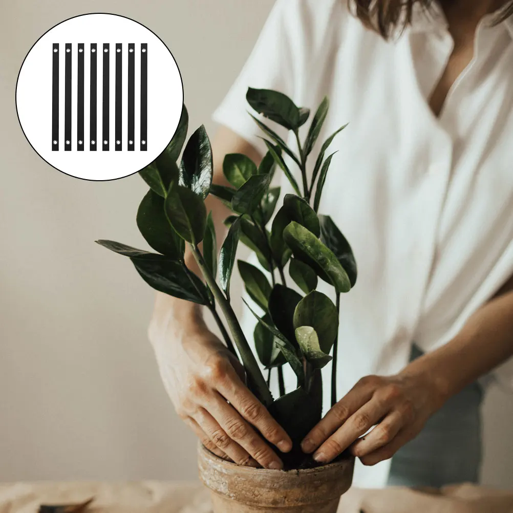 8pcs Tree Support Straps Windproof Plant Ties Straight Large Nylon Non Slip Stable Fixing Outdoor Garden Furniture
8pcs Tree Support Straps Windproof Plant Ties Straight Large Nylon Non Slip Stable Fixing Outdoor Garden Furniture
