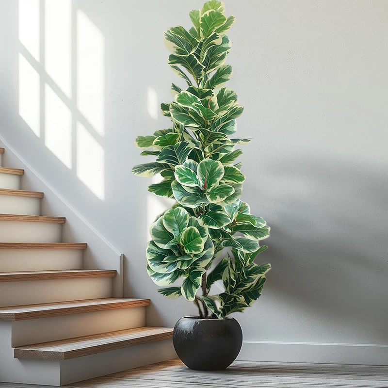 3-5FT Large Artificial Fiddle Leaf Fig Tree Faux Plastic Plant Real Touch Banyan Leaf Fake Fiddle Tree for Home Shop Party Decor
3-5FT Large Artificial Fiddle Leaf Fig Tree Faux Plastic Plant Real Touch Banyan Leaf Fake Fiddle Tree for Home Shop Party Decor