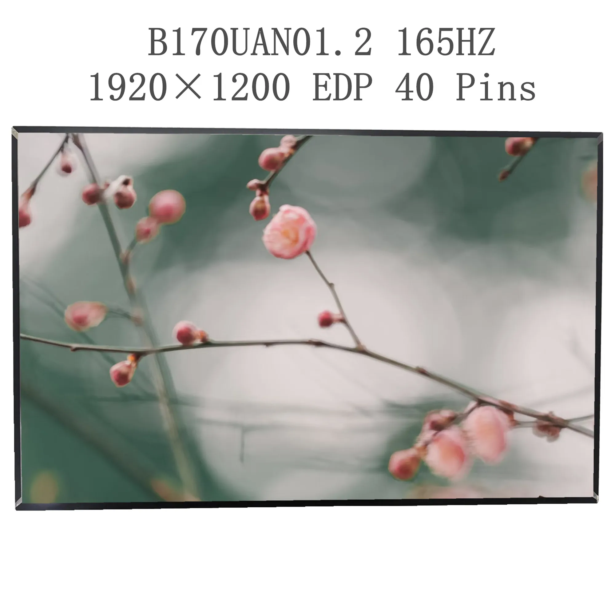 17.0'' B170UAN01.2 165Hz Laptop LCD Screen Display Panel Matrix 1920×1200 EDP 40 Pins
17.0'' B170UAN01.2 165Hz Laptop LCD Screen Display Panel Matrix 1920×1200 EDP 40 Pins