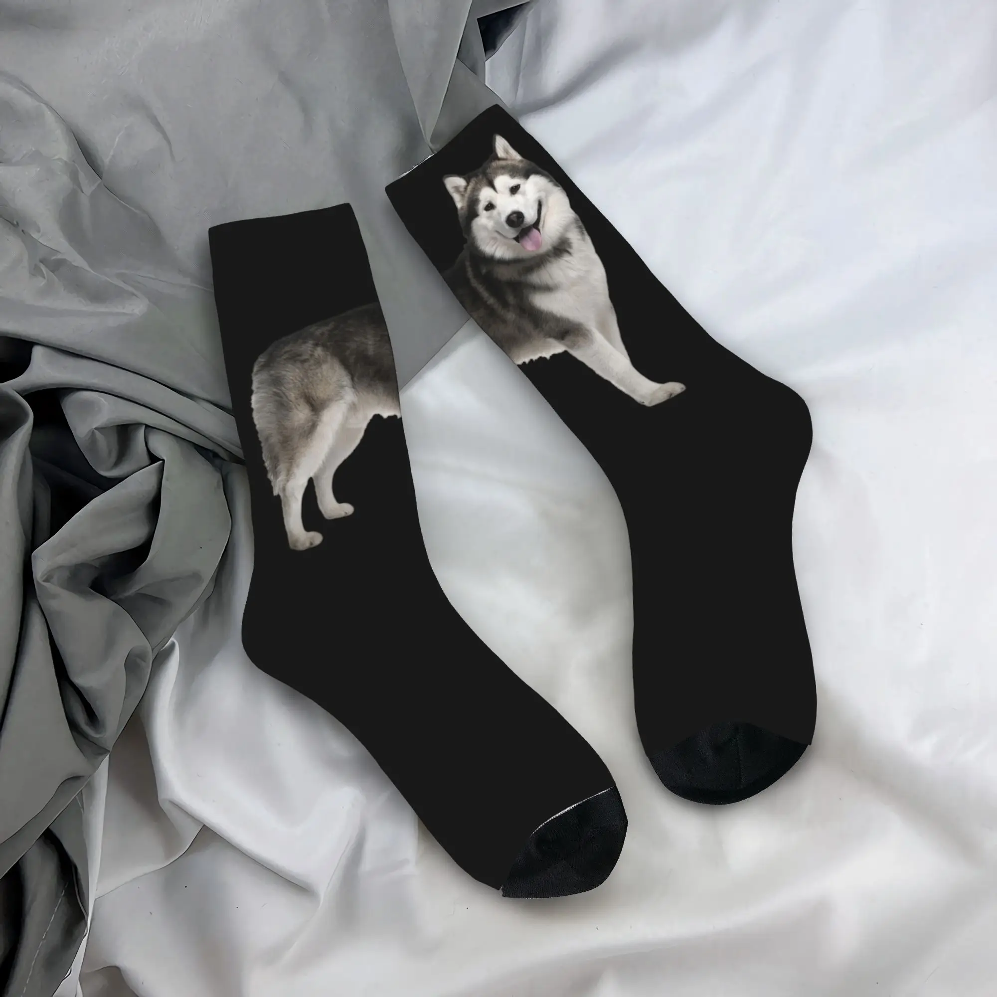 Custom Cute Print Siberian Husky Socks for Men Women Stretch Summer Autumn Winter Alaskan Malamute Dog Crew Socks
Custom Cute Print Siberian Husky Socks for Men Women Stretch Summer Autumn Winter Alaskan Malamute Dog Crew Socks