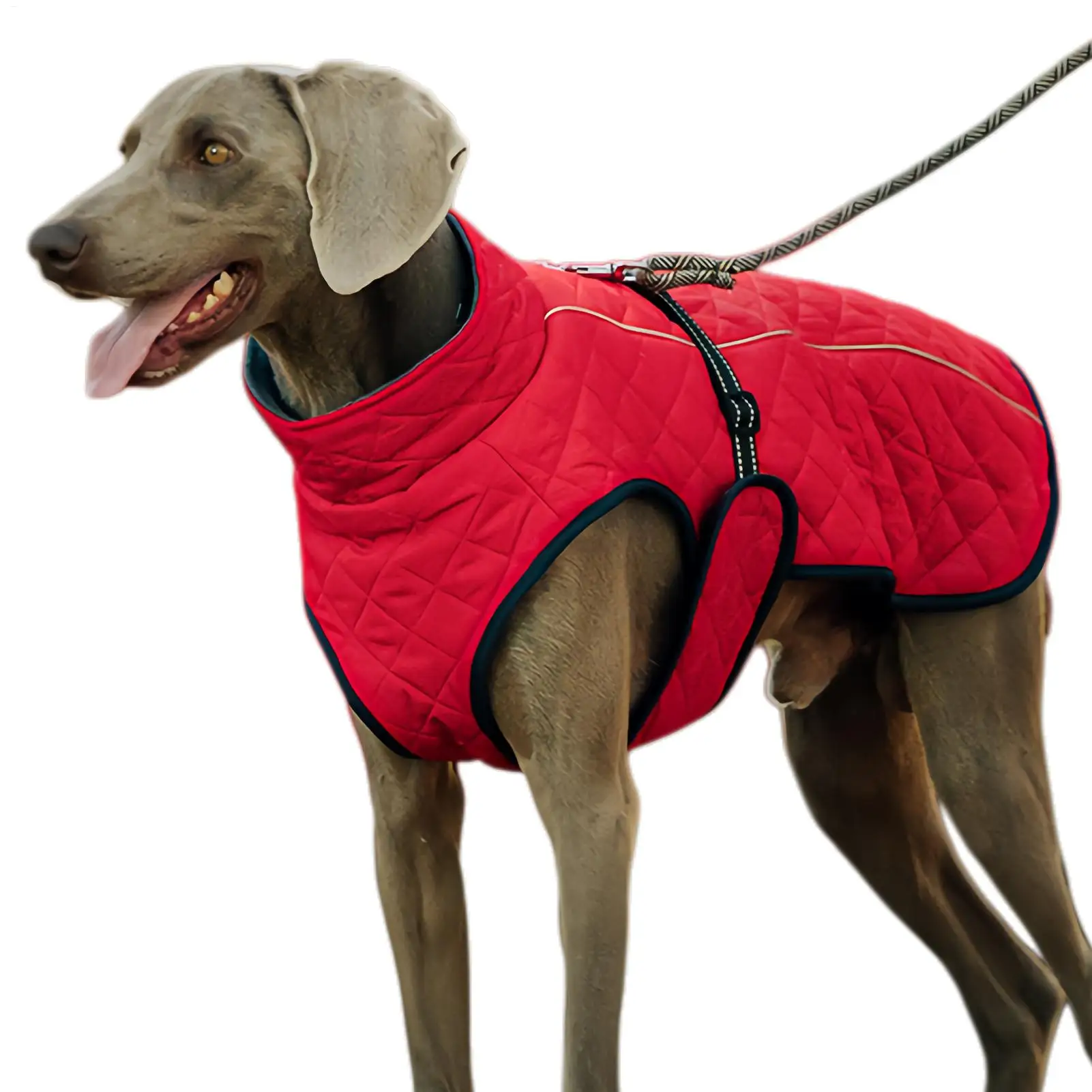 Зимняя куртка для собак, теплый светоотражающий жилет, одежда для собак, зимняя куртка, пальто для домашних животных для прогулок, ежедневный поход, катание на лыжах, открытый парк пикника
Зимняя куртка для собак, теплый светоотражающий жилет, одежда для собак, зимняя куртка, пальто для домашних животных для прогулок, ежедневный поход, катание на лыжах, открытый парк пикника