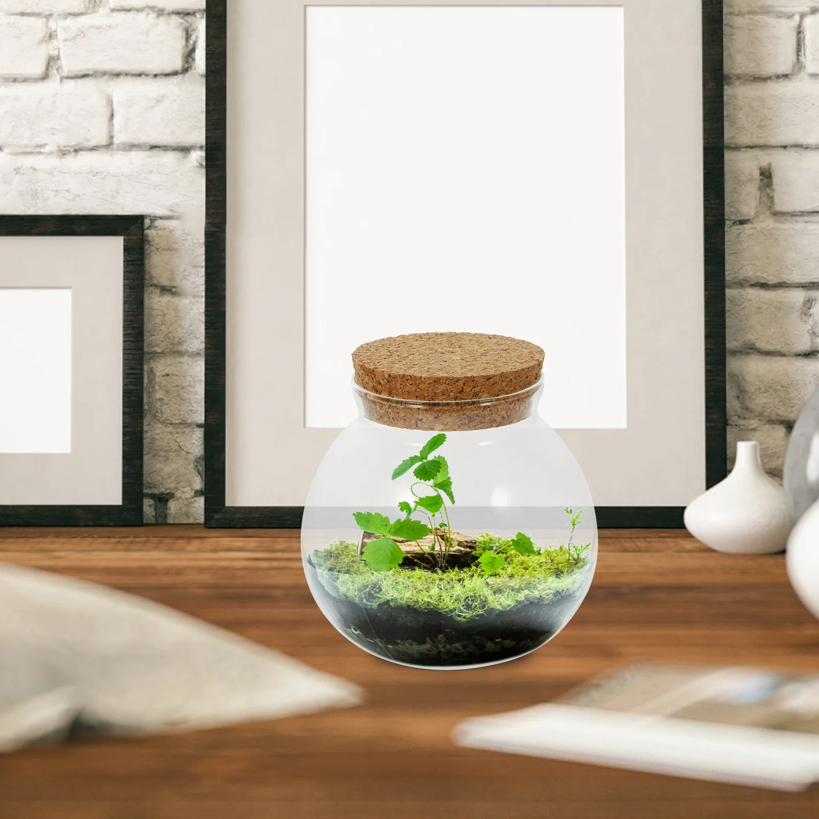 Ecological Bottle Mini Landscape Glass Terrarium Clear Plant Holder Moss Jar Hydroponic Vase Diy Container Decorative
Ecological Bottle Mini Landscape Glass Terrarium Clear Plant Holder Moss Jar Hydroponic Vase Diy Container Decorative