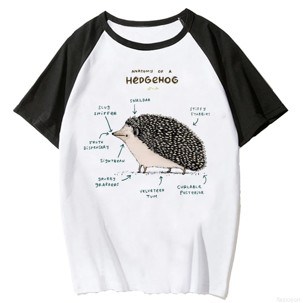 Hedgehog t shirt women summer harajuku t-shirts girl streetwear graphic comic clothes
Hedgehog t shirt women summer harajuku t-shirts girl streetwear graphic comic clothes