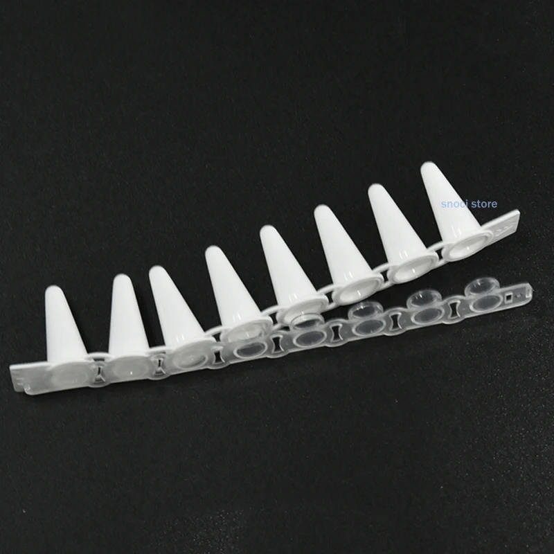 0,1 мл, 8 полосок, трубка для ПЦР, 0,2 мл, ПЦР, 8 центрифужных трубок, полоска, фарфоровая белая флуоресцентная количественная трубка, без основы/ограничения, 200 шт.
0,1 мл, 8 полосок, трубка для ПЦР, 0,2 мл, ПЦР, 8 центрифужных трубок, полоска, фарфоровая белая флуоресцентная количественная трубка, без основы/ограничения, 200 шт.