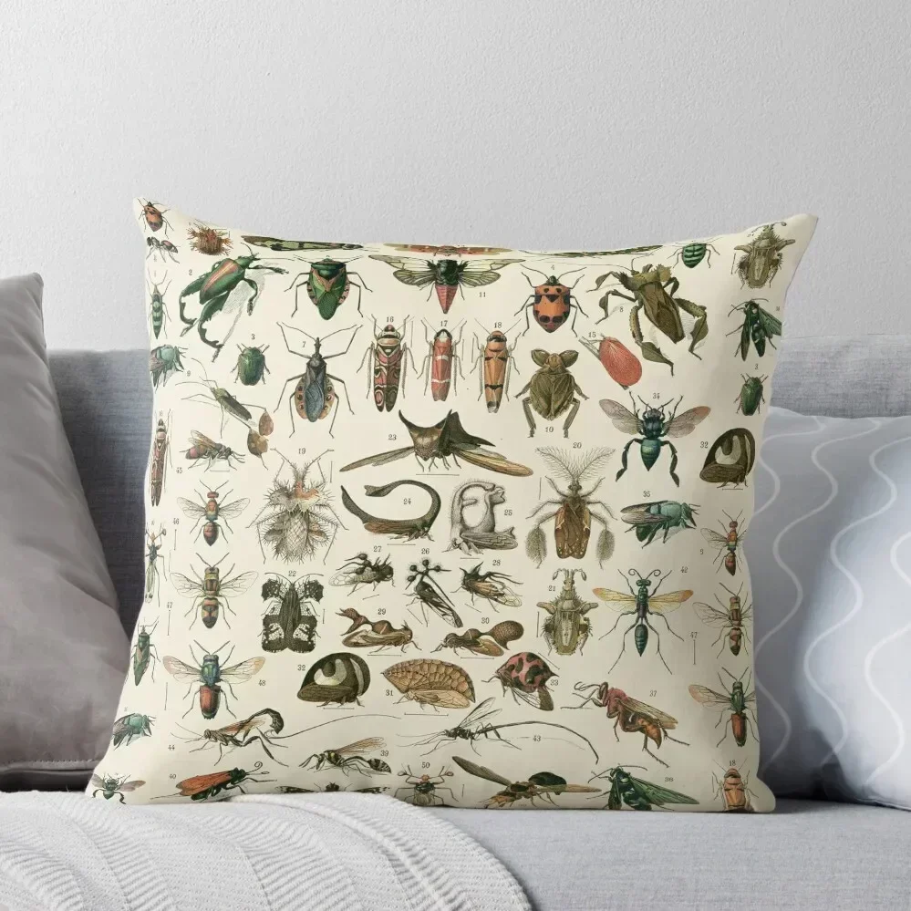 Insects 2 Throw Pillow Cushion Cover Set Pillowcases Cushion Covers Sofa Cushion Cover pillow
Insects 2 Throw Pillow Cushion Cover Set Pillowcases Cushion Covers Sofa Cushion Cover pillow