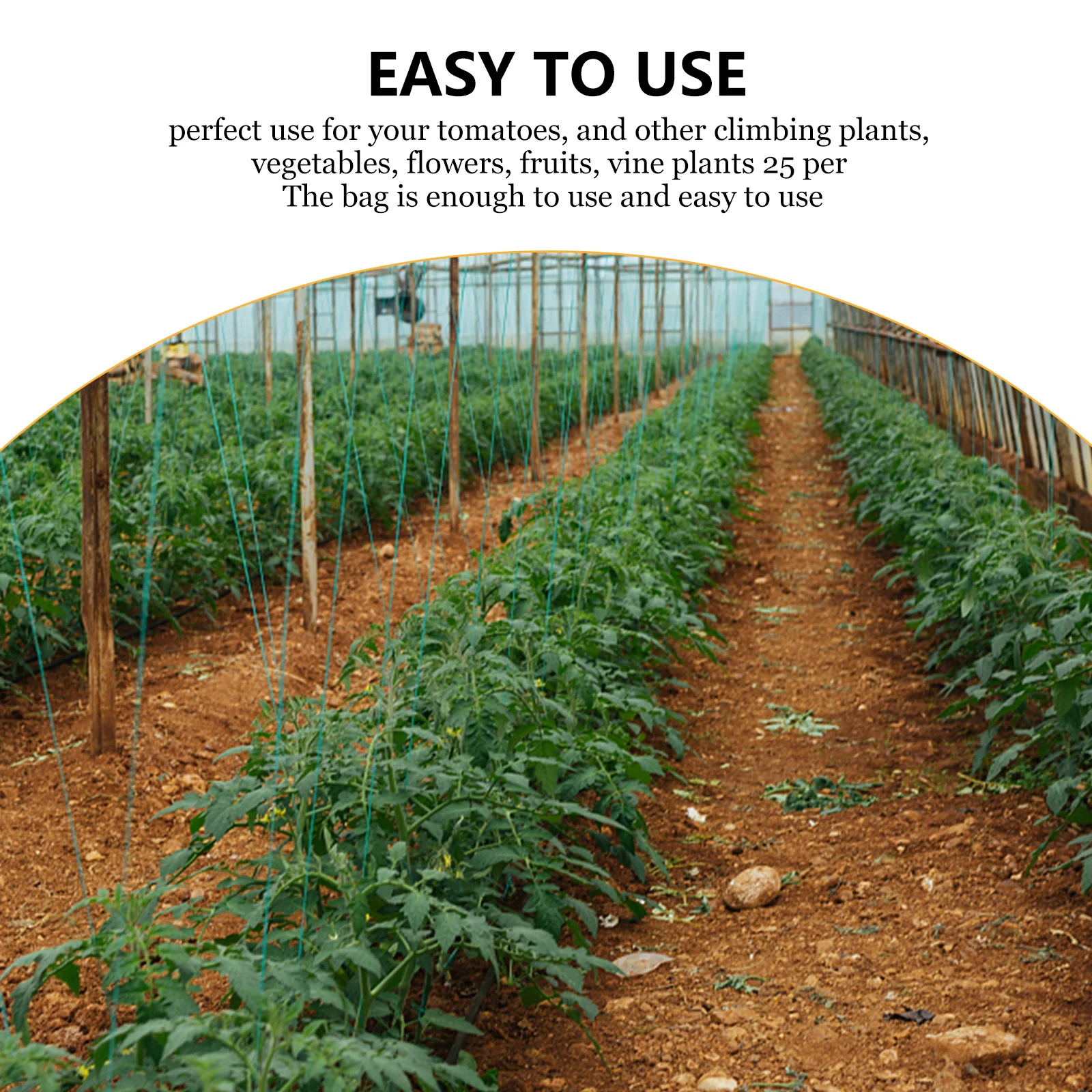 25Pcs Expandable Plant Stake Arms Plastic Trellis Connectors for 11mm Diameter Plant Stakes Support Gardening Accessories Indoor
25Pcs Expandable Plant Stake Arms Plastic Trellis Connectors for 11mm Diameter Plant Stakes Support Gardening Accessories Indoor