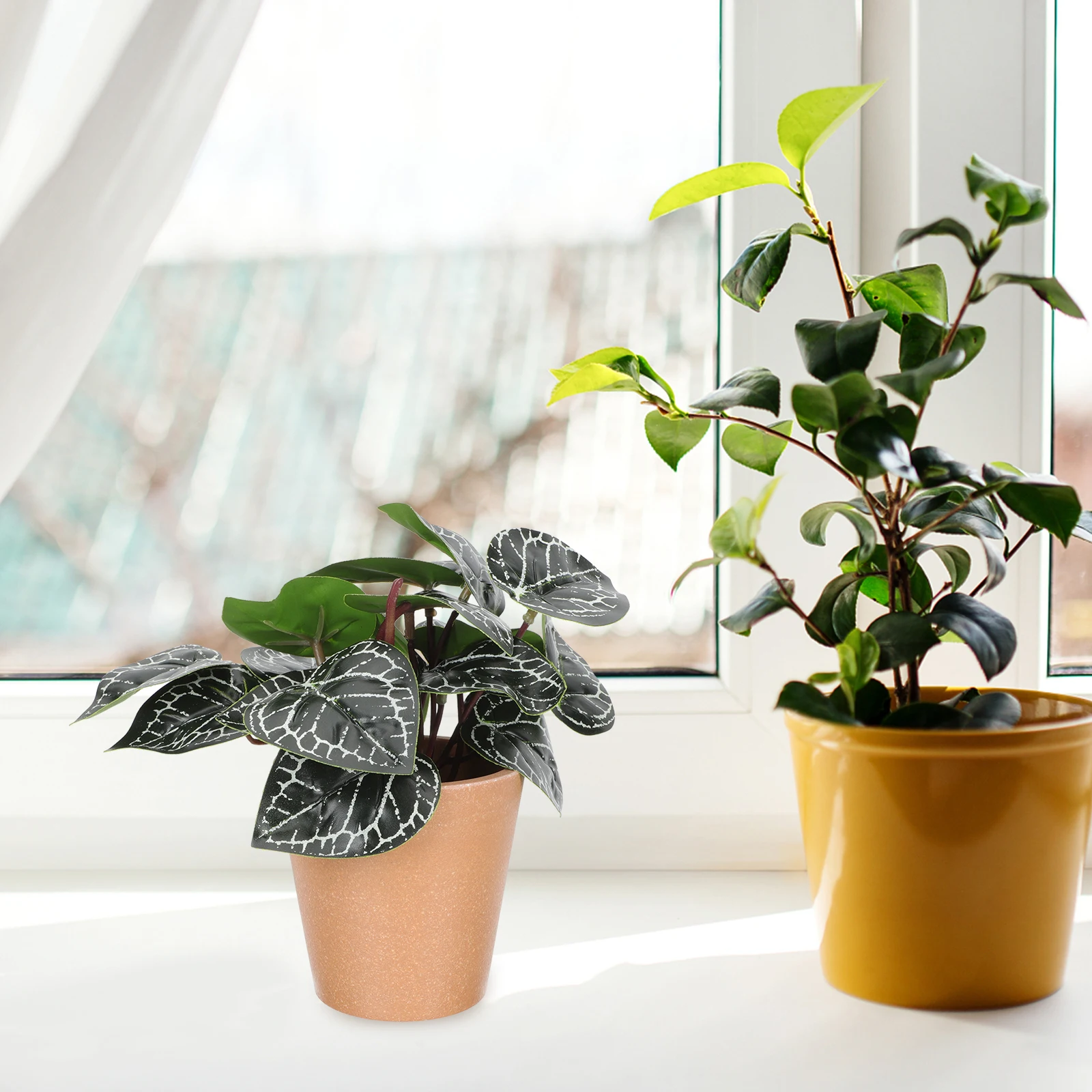 2pcs Artificial Plant Potted Bonsai Bright Color Lifelike Shape Home Decor Desktop Decorations Stylish Faux Bonsai Ornaments
2pcs Artificial Plant Potted Bonsai Bright Color Lifelike Shape Home Decor Desktop Decorations Stylish Faux Bonsai Ornaments