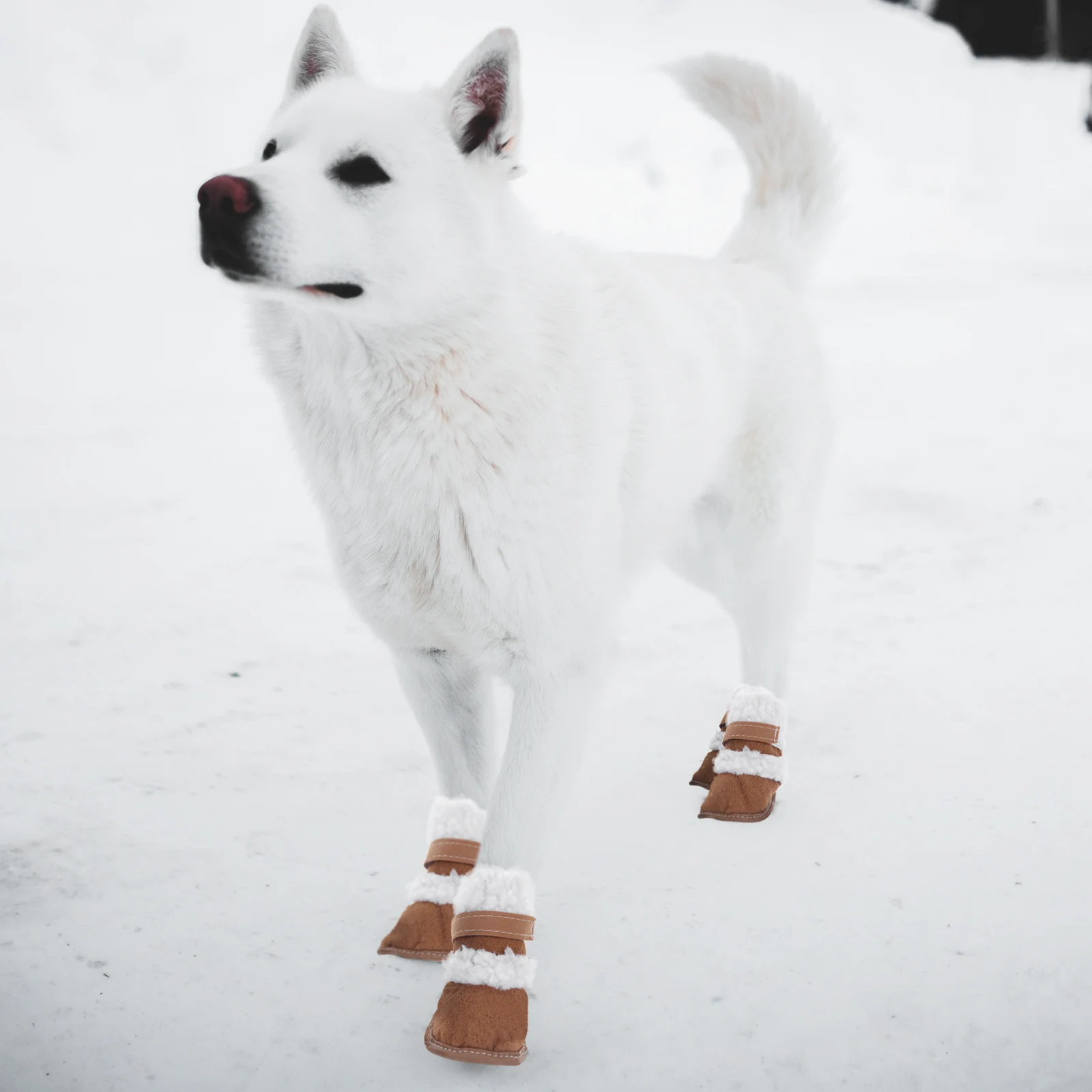 2 Pairs Dog Boots Pet Winter Snowshoes Puppy Shoes Outdoor Sports Anti Slip Soles Warm Dry Clean Comfortable Dog Shoes Set
2 Pairs Dog Boots Pet Winter Snowshoes Puppy Shoes Outdoor Sports Anti Slip Soles Warm Dry Clean Comfortable Dog Shoes Set