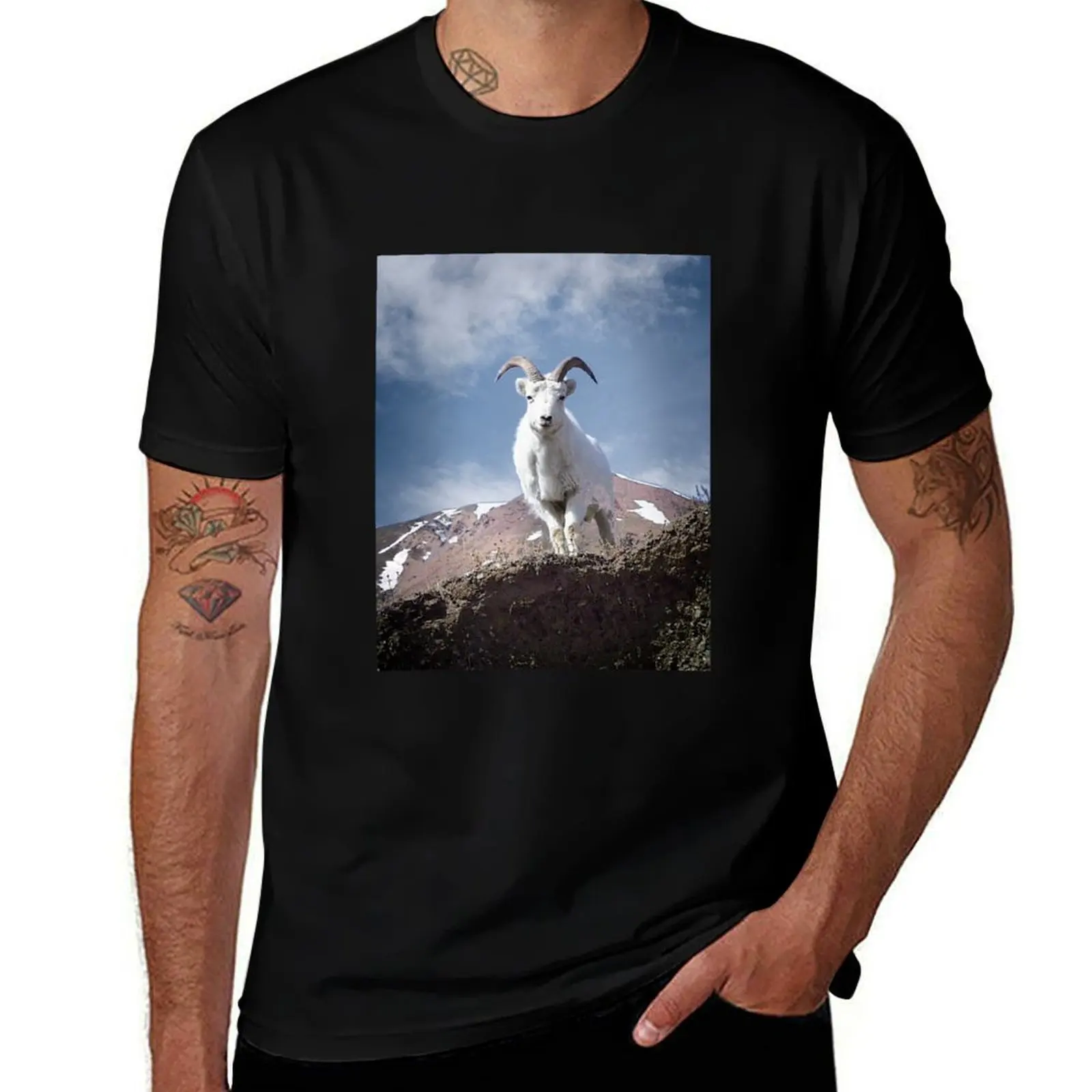 Dall Sheep on Sheep Mountain T-Shirt Outdoor Activity Sports T-Shirt
Dall Sheep on Sheep Mountain T-Shirt Outdoor Activity Sports T-Shirt