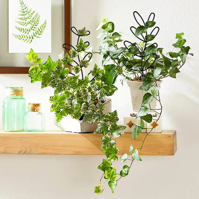 Plant Stem Climbing Rack Plant Trellis Garden Support Stake Stand Vine Growth Flower Rattan-Climbing Rack DIY Garden Supplies
Plant Stem Climbing Rack Plant Trellis Garden Support Stake Stand Vine Growth Flower Rattan-Climbing Rack DIY Garden Supplies