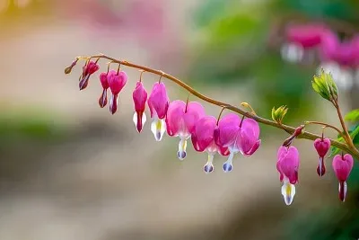 Черные латунные диски Beadlock 1.0 дюйма -2.65 мм с шинами для радиоуправляемых краулеров 1/24 1/18 TRX4M SCX24 FCX24. Модернизация.
Черные латунные диски Beadlock 1.0 дюйма -2.65 мм с шинами для радиоуправляемых краулеров 1/24 1/18 TRX4M SCX24 FCX24. Модернизация.