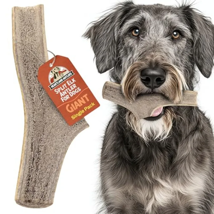 Heartland Elk Antlers for Dogs - Daily Dental Care Chews for Aggressive Chewers to Reduce Plaque and Prevent Destructive Behavi
Heartland Elk Antlers for Dogs - Daily Dental Care Chews for Aggressive Chewers to Reduce Plaque and Prevent Destructive Behavi