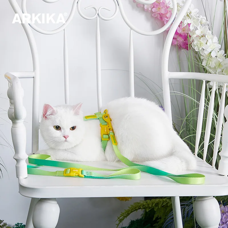 ARKIKA Cat Leash for Outdoor Use Anti-breakaway Traction Set Kitten High-Value Chest and Back Walking Cat Adjustable Leash
ARKIKA Cat Leash for Outdoor Use Anti-breakaway Traction Set Kitten High-Value Chest and Back Walking Cat Adjustable Leash