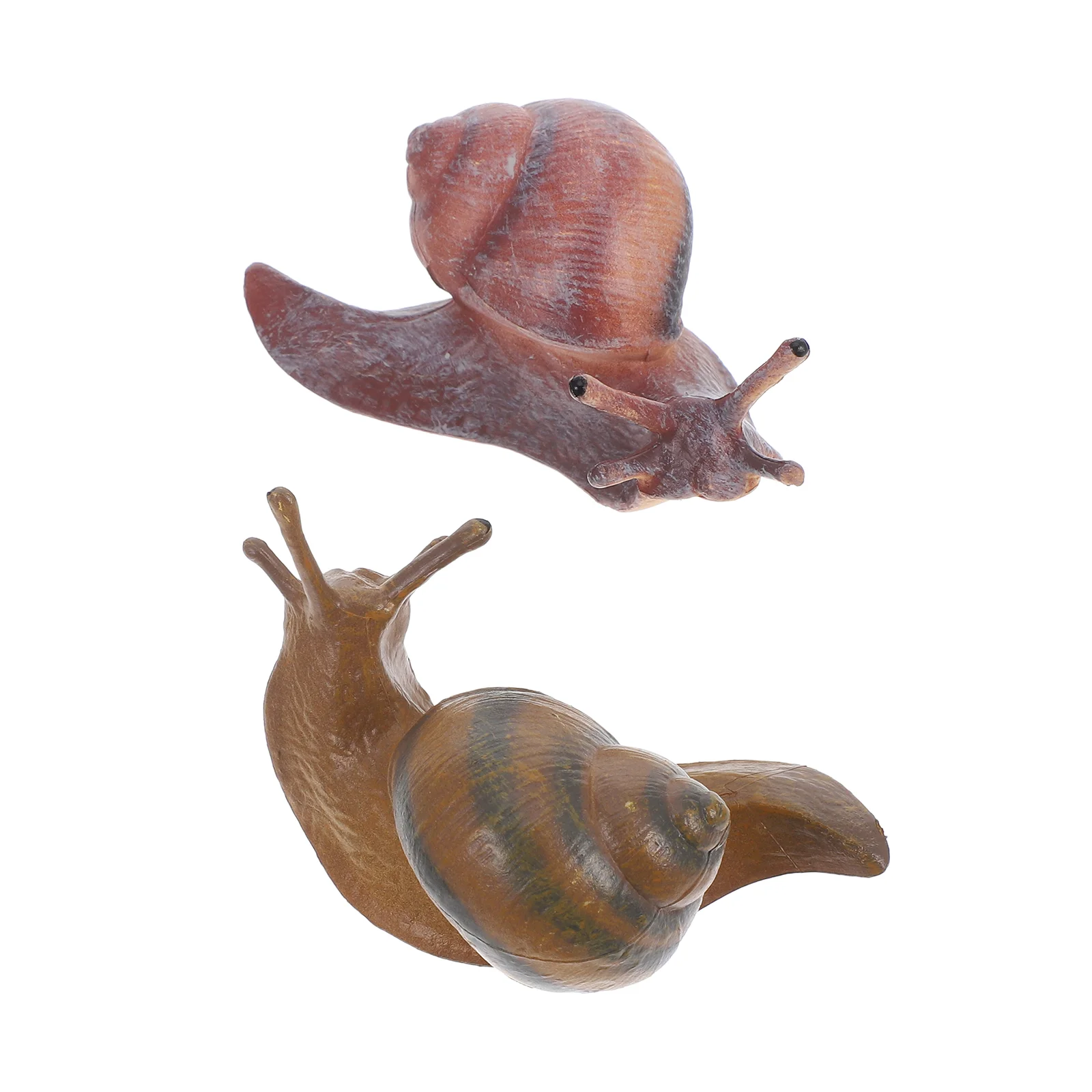 2 Pcs Snail Model Small Decoration Realistic Simulation Figures Toy Animal Artificial Ornament Plastic Recognition Child
2 Pcs Snail Model Small Decoration Realistic Simulation Figures Toy Animal Artificial Ornament Plastic Recognition Child