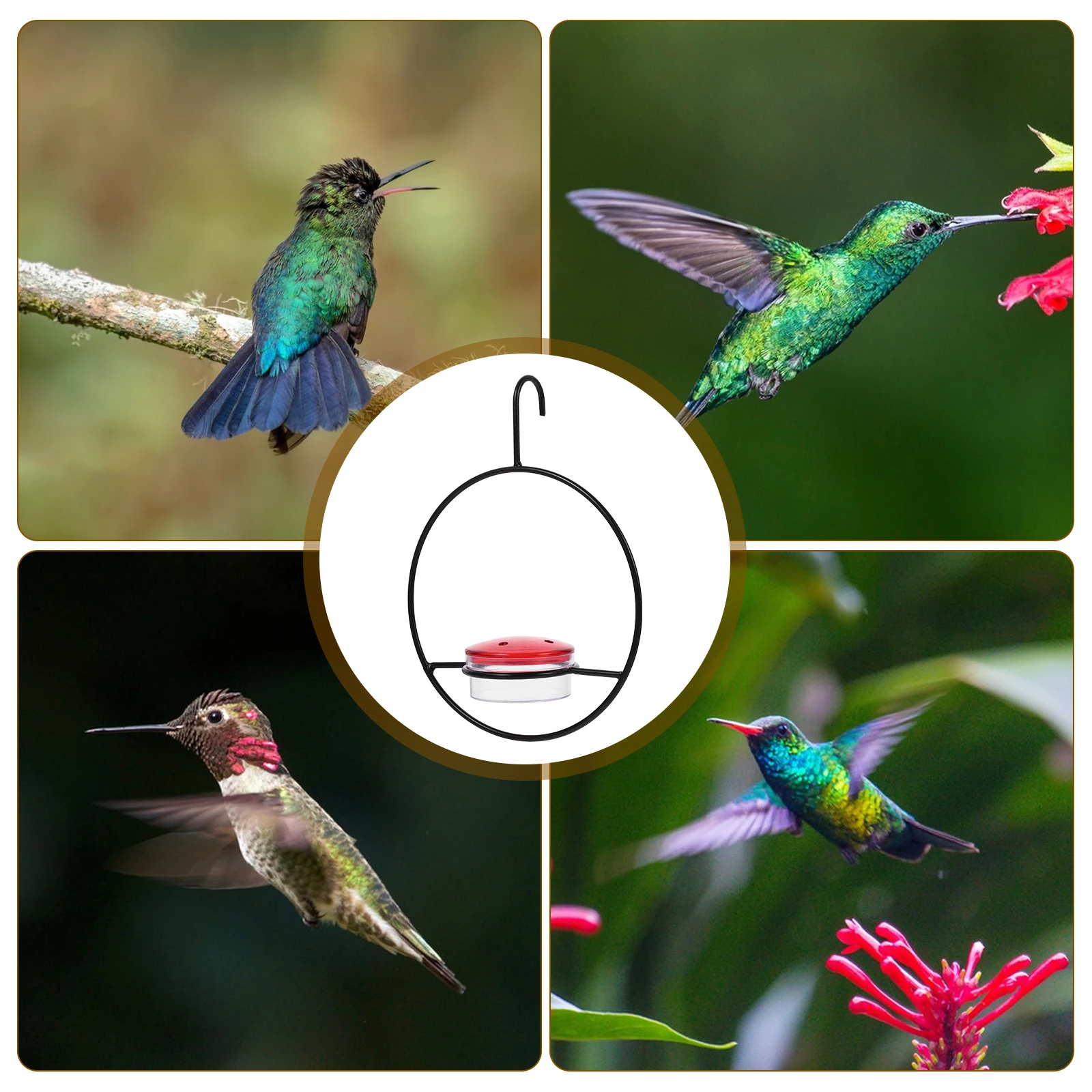 Water Feeder Outdoor Hummingbird Feeders for Outdoors Hanging Parrot Simple Plastic Hummingbirds
Water Feeder Outdoor Hummingbird Feeders for Outdoors Hanging Parrot Simple Plastic Hummingbirds