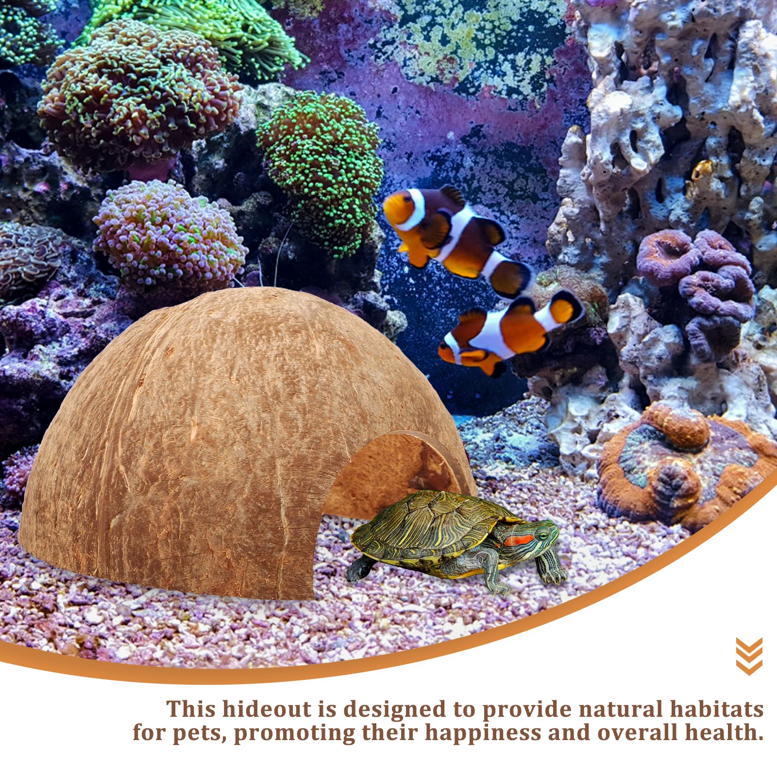 Coconut Hideout House Gecko Small Large Reptile Habitat Tank Hides Extra Shell Cave Turtle Lizard Spider Snail Accessories
Coconut Hideout House Gecko Small Large Reptile Habitat Tank Hides Extra Shell Cave Turtle Lizard Spider Snail Accessories