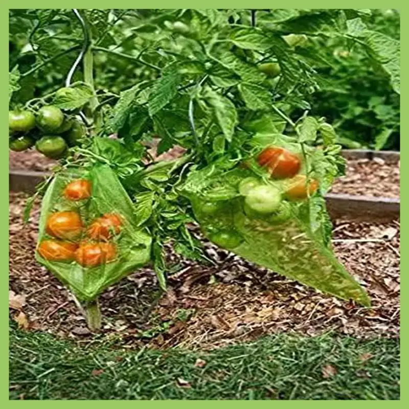 100Pcs Fruit Cover Mesh Bag 6X8in 12X8in Fruit Netting Bags For Fruit Trees Fruit Cover Mesh Bag For Plant Fruit Flower
100Pcs Fruit Cover Mesh Bag 6X8in 12X8in Fruit Netting Bags For Fruit Trees Fruit Cover Mesh Bag For Plant Fruit Flower