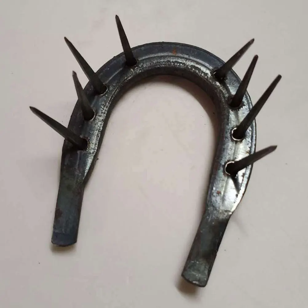 50pcs Horseshoe Nails Durable Premium Iron Material Suitable Most Horse Shoes Replacement Old Nails Helper Horse Accessory
50pcs Horseshoe Nails Durable Premium Iron Material Suitable Most Horse Shoes Replacement Old Nails Helper Horse Accessory