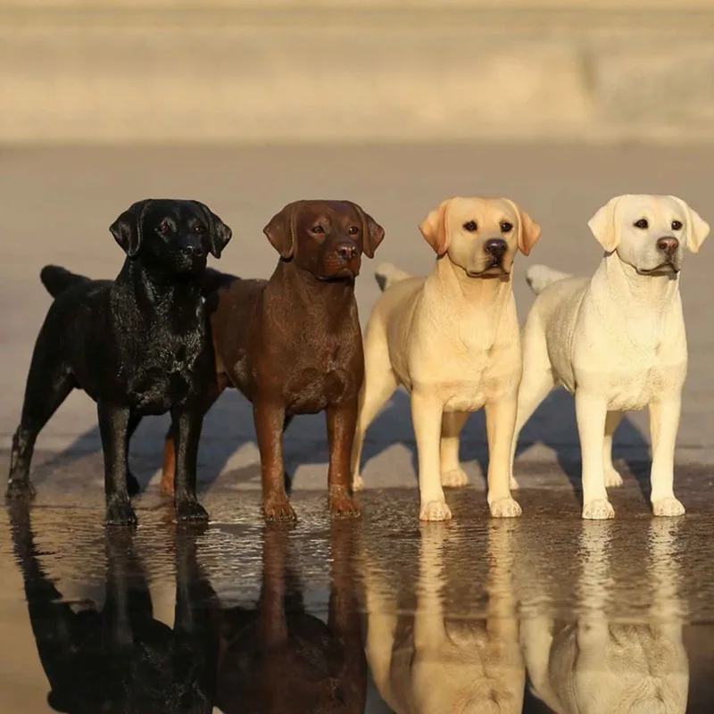 JXK 1/6 Scale Resin Labrador Retriever Dog Model Simulated Animal Ornaments DIY for 12'' Action Figures Body Doll Gift
JXK 1/6 Scale Resin Labrador Retriever Dog Model Simulated Animal Ornaments DIY for 12'' Action Figures Body Doll Gift