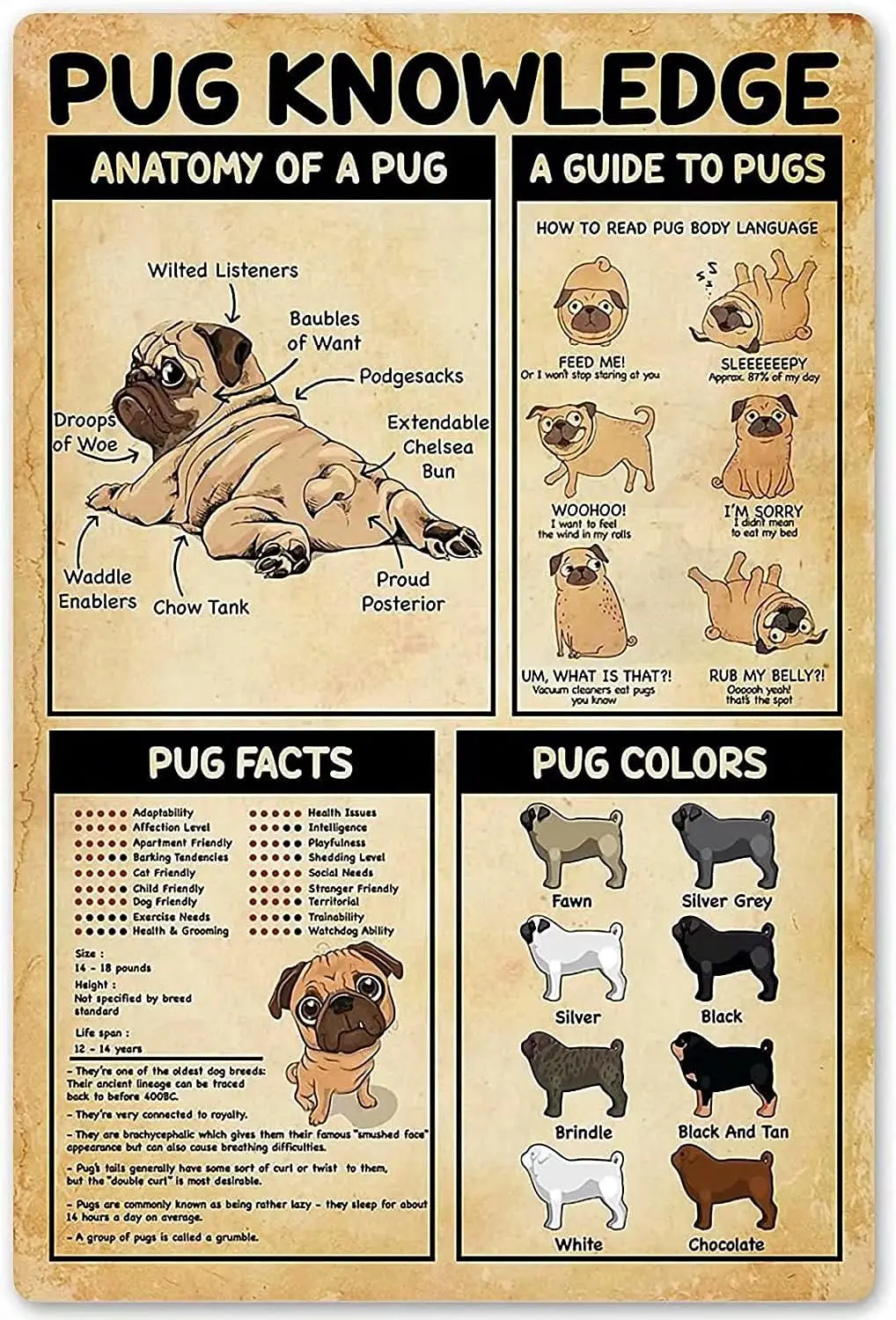 Pug Knowledge Metal Tin Sign Anatomy Of A Pug A Guide To Pugs Retro Printed Poster School Cafe Bar Bedroom Bathroom Kitchen Home
Pug Knowledge Metal Tin Sign Anatomy Of A Pug A Guide To Pugs Retro Printed Poster School Cafe Bar Bedroom Bathroom Kitchen Home