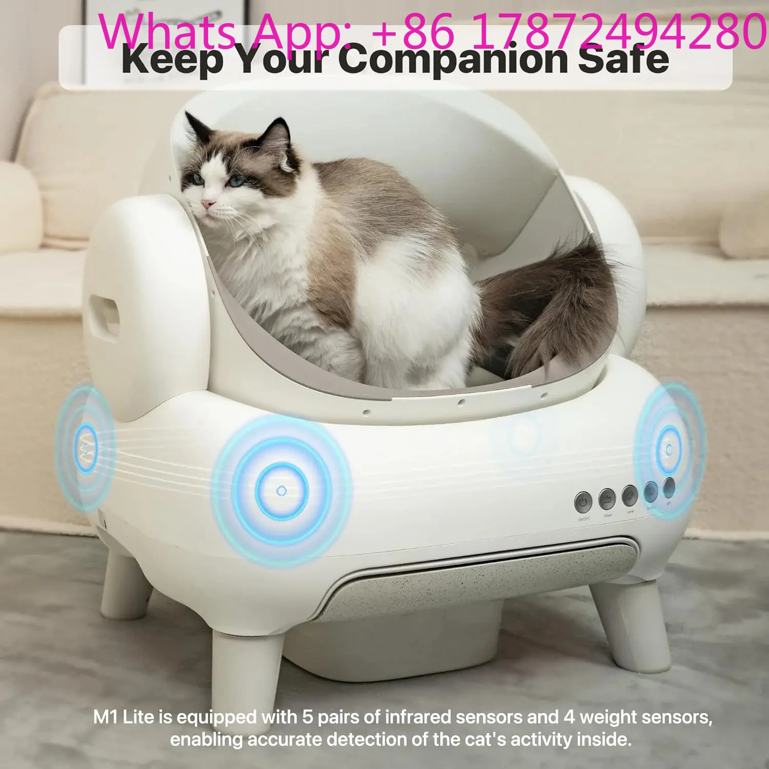 M1 White Color Open-Top Self Cleaning Cat Box Automatic Cat Box with APP Control Safety Protection with Waste Bag
M1 White Color Open-Top Self Cleaning Cat Box Automatic Cat Box with APP Control Safety Protection with Waste Bag