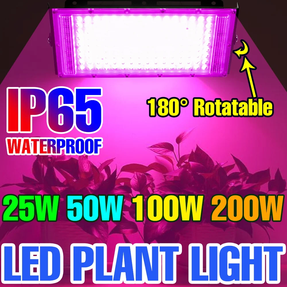 200W LED Plant Grow Light Full Spectrum 220V Indoor Hydroponic Lamp Greenhouse Tent Vegs Flowers Succulent Cactus Fill Lighting
200W LED Plant Grow Light Full Spectrum 220V Indoor Hydroponic Lamp Greenhouse Tent Vegs Flowers Succulent Cactus Fill Lighting