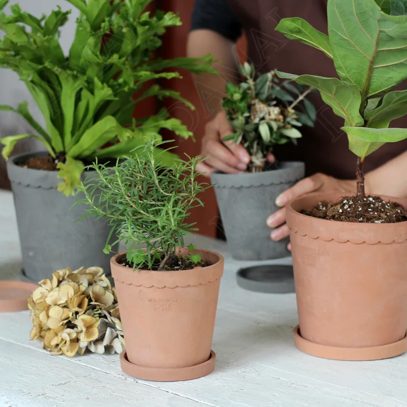 Creative Cement Flower Pot Simple Modern Office Desktop Succulents Pots for Plants European Art Home Decoration Plant Pots
Creative Cement Flower Pot Simple Modern Office Desktop Succulents Pots for Plants European Art Home Decoration Plant Pots