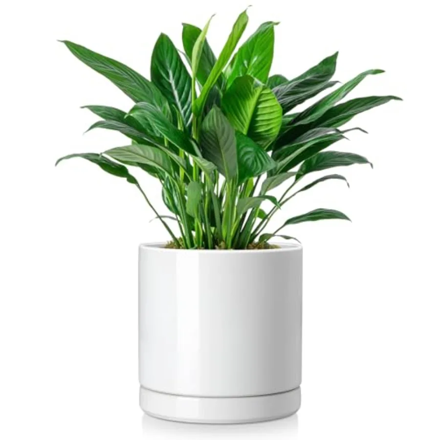 Ceramic Plant Pots, 8.25 Inch Ceramic Pot for Plants, Planters Pots for Indoor Plants with Drainage Holes, Flower Pot for Indoo
Ceramic Plant Pots, 8.25 Inch Ceramic Pot for Plants, Planters Pots for Indoor Plants with Drainage Holes, Flower Pot for Indoo