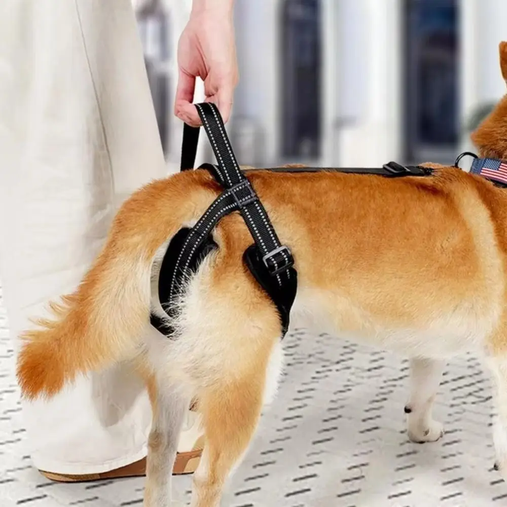 Adjustable Dog Sling For Back Legs Sturdy Handle Reflective Strips Dog Lift Harness Auxiliary Belt Back Leg Hold
Adjustable Dog Sling For Back Legs Sturdy Handle Reflective Strips Dog Lift Harness Auxiliary Belt Back Leg Hold