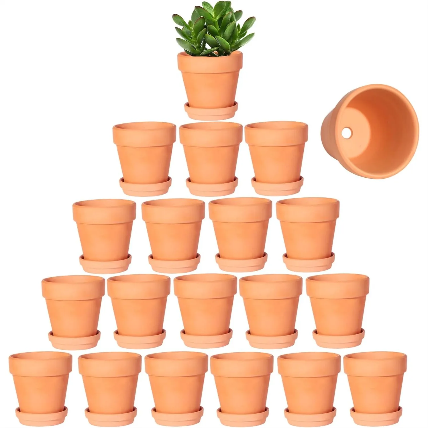 3 Inch Terracotta Pots with Saucer 20 Pack Succulent Planters with Drainage Holes for Indoor Outdoor Garden Wedding Favor
3 Inch Terracotta Pots with Saucer 20 Pack Succulent Planters with Drainage Holes for Indoor Outdoor Garden Wedding Favor