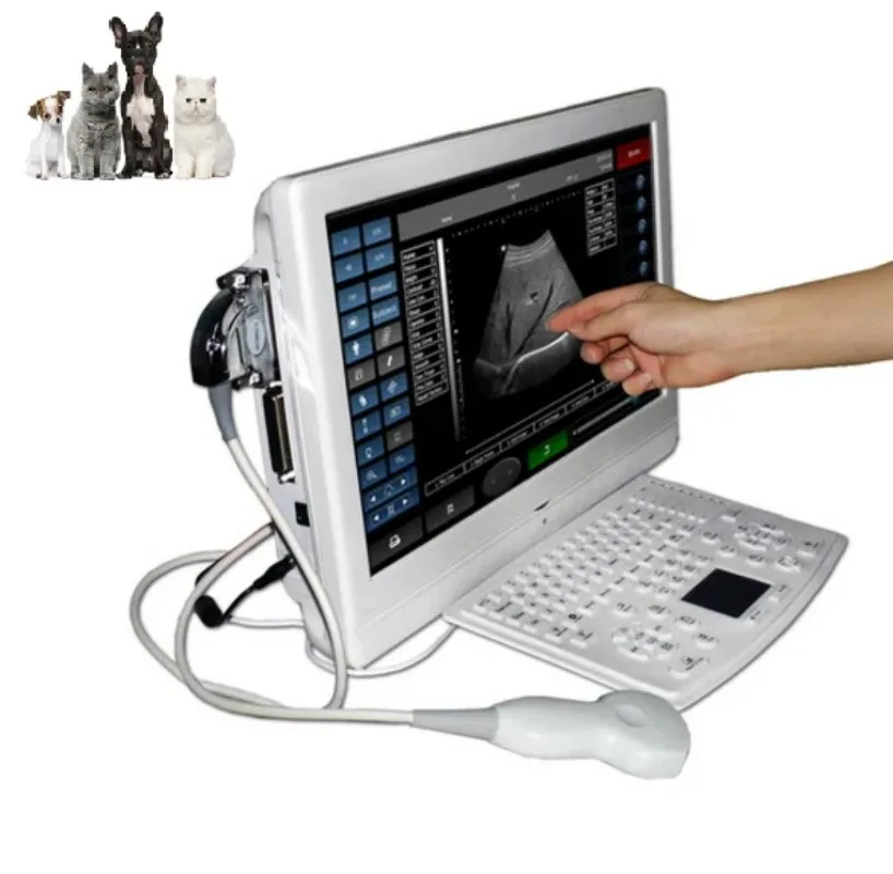 Good Quality pet dog pig sheep ultrasound scanner veterinary vet portable machine animal BW08-W
Good Quality pet dog pig sheep ultrasound scanner veterinary vet portable machine animal BW08-W