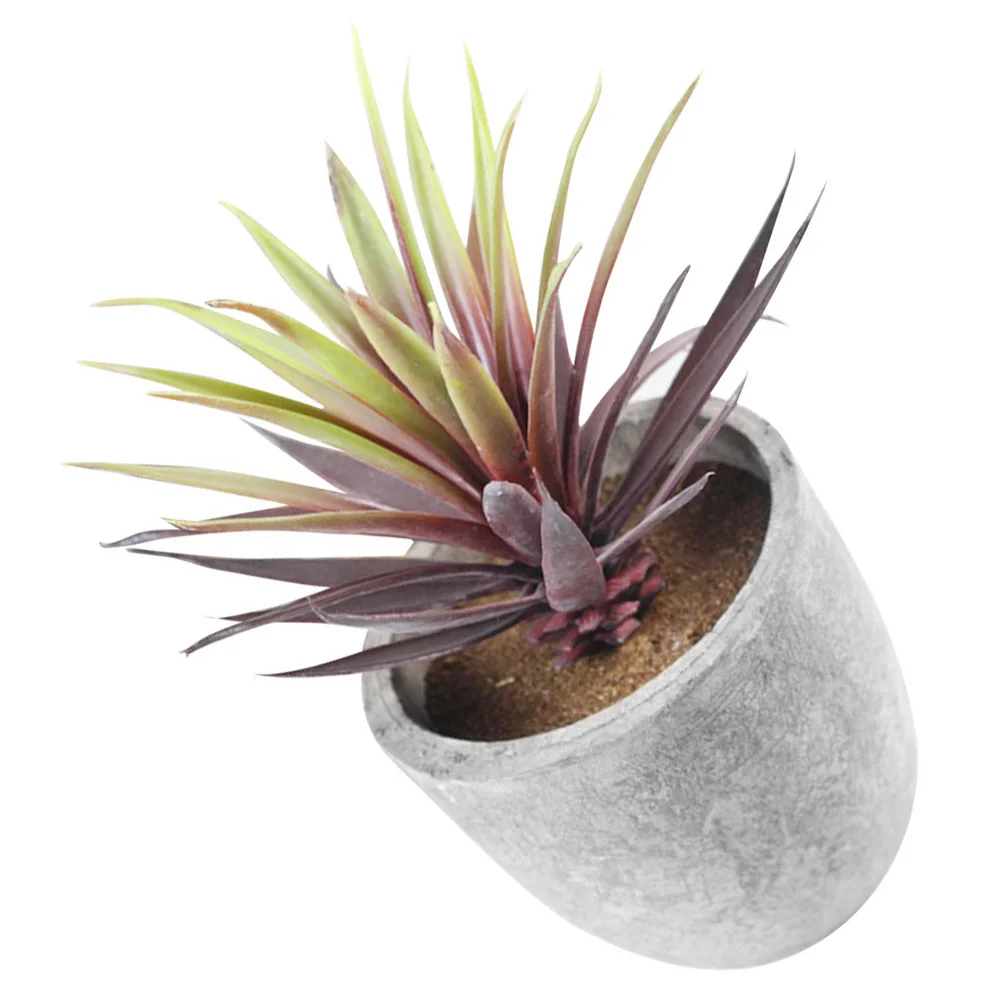 Simulation Succulent Potted Plant 343 Small Sword Lily Red Artificial Decor Home Office Desk Garden Fake Bonsai Mini Plants
Simulation Succulent Potted Plant 343 Small Sword Lily Red Artificial Decor Home Office Desk Garden Fake Bonsai Mini Plants