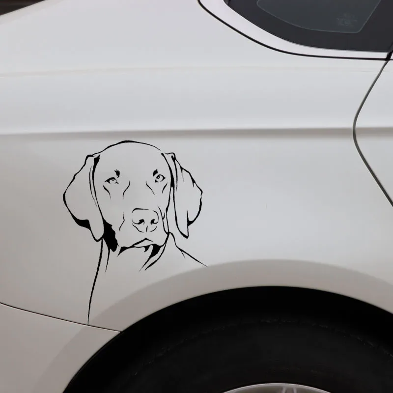 Weimaraner Dog Outline Vinyl Sticker Waterproof PVC Decal for Car Motorcycle Helmet Decor
Weimaraner Dog Outline Vinyl Sticker Waterproof PVC Decal for Car Motorcycle Helmet Decor