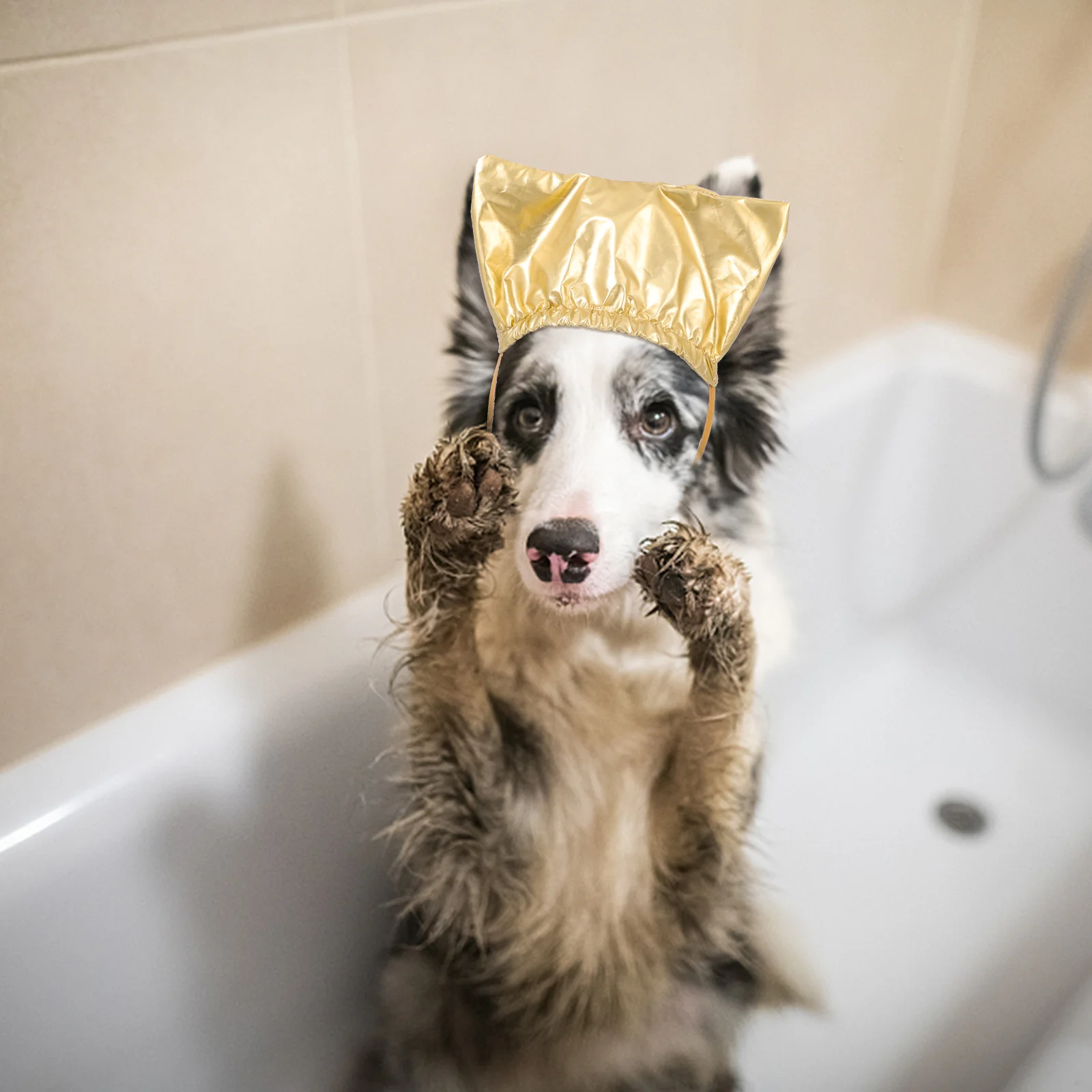 2Pcs Pet Shower Caps for Dogs Cats Soft Stretchable Bath Hats with Elastic Chin Strap Puppy Kitten Household Bathing Supplies
2Pcs Pet Shower Caps for Dogs Cats Soft Stretchable Bath Hats with Elastic Chin Strap Puppy Kitten Household Bathing Supplies