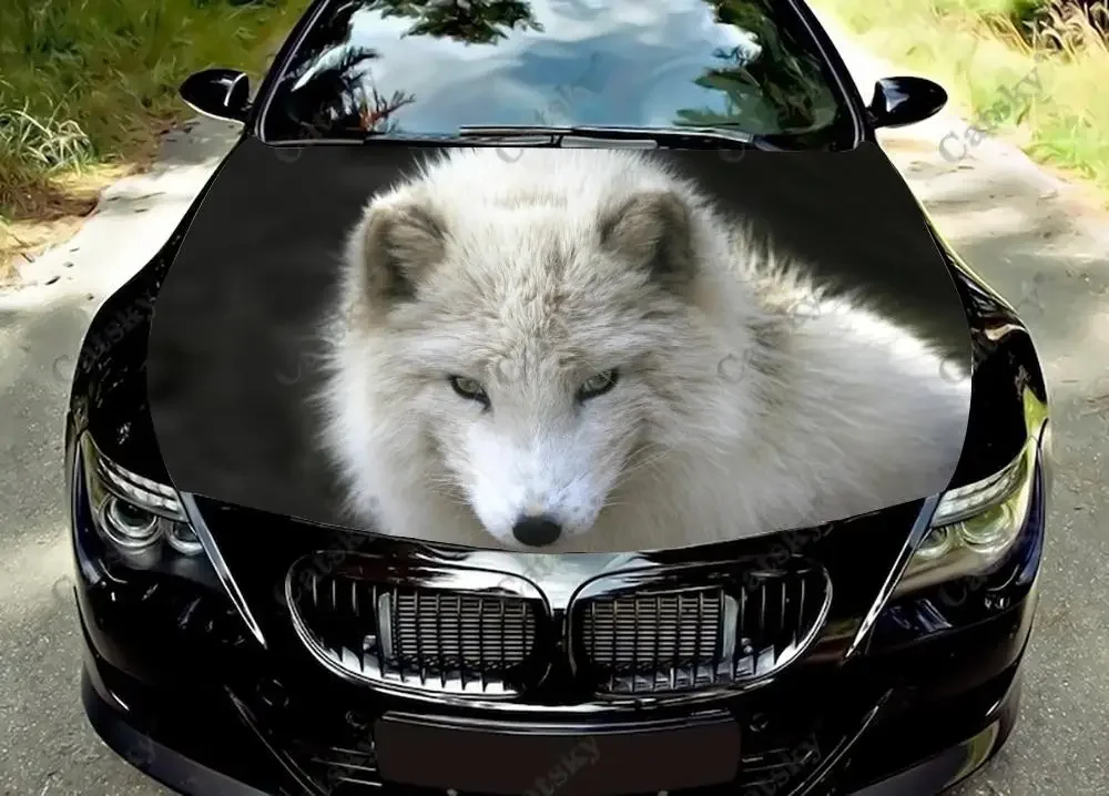 Animal Arctic Fox Car Hood Vinyl Stickers Wrap Vinyl Film Engine Cover Decals Sticker Universal Car Hood Protective Film
Animal Arctic Fox Car Hood Vinyl Stickers Wrap Vinyl Film Engine Cover Decals Sticker Universal Car Hood Protective Film