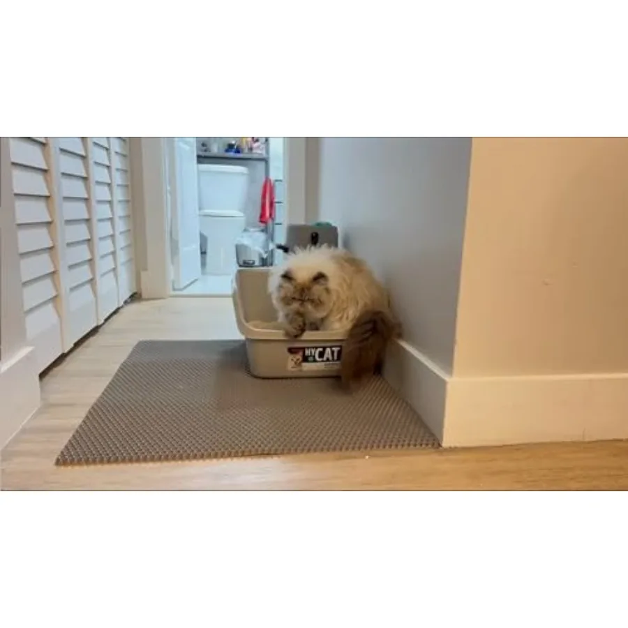 XL Extra Large Cat Litter Box Trapping Mat Honeycomb Tracking Catcher for Indoor Floor Washable Waterproof Kitty Litter Tray Pa
XL Extra Large Cat Litter Box Trapping Mat Honeycomb Tracking Catcher for Indoor Floor Washable Waterproof Kitty Litter Tray Pa