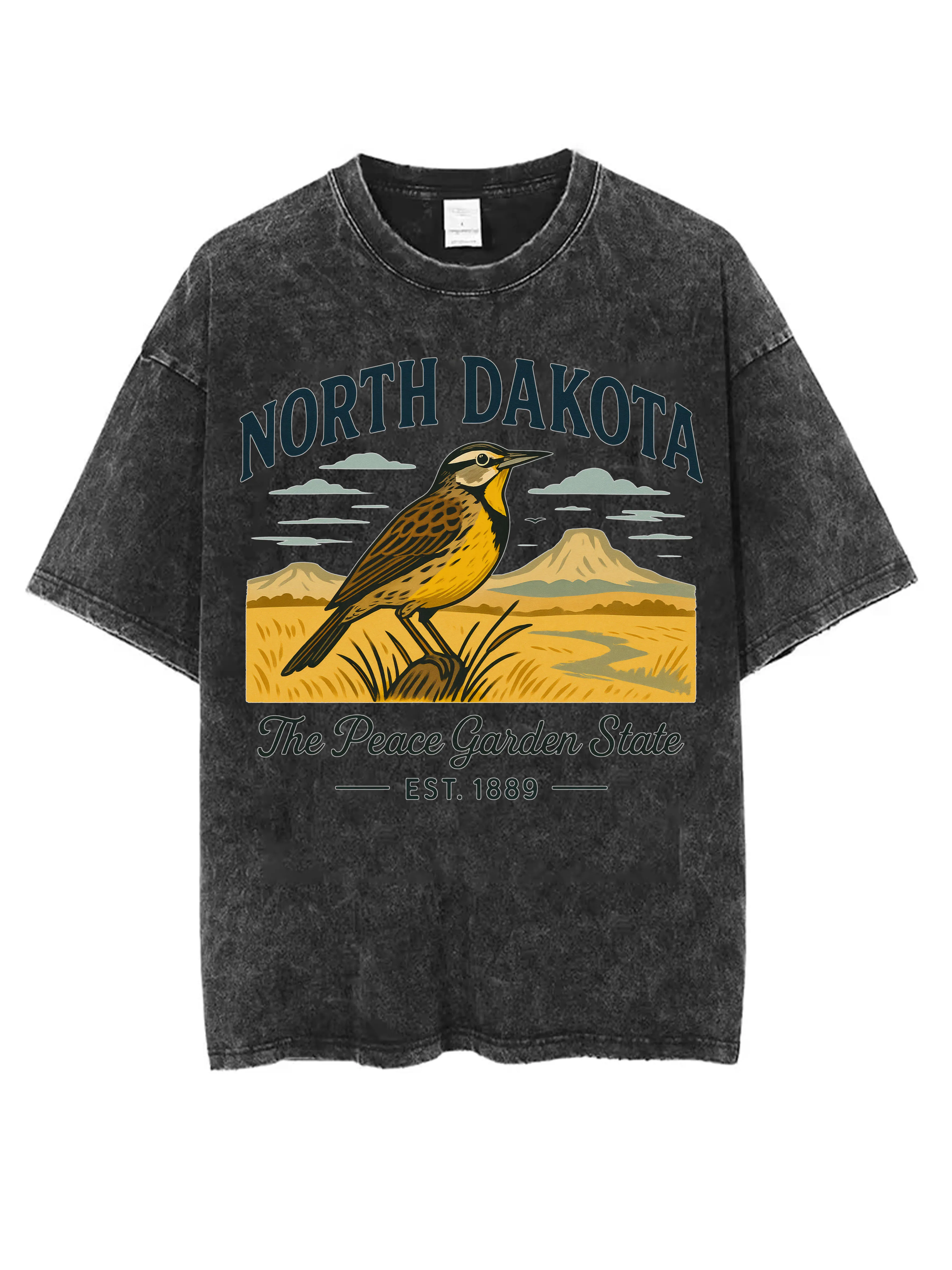 NORTH DAKOTA life is a song sing it loud Washed Black Round Neck T-Shirt for Men Women Loose Comfortable for Winter Christmas
NORTH DAKOTA life is a song sing it loud Washed Black Round Neck T-Shirt for Men Women Loose Comfortable for Winter Christmas