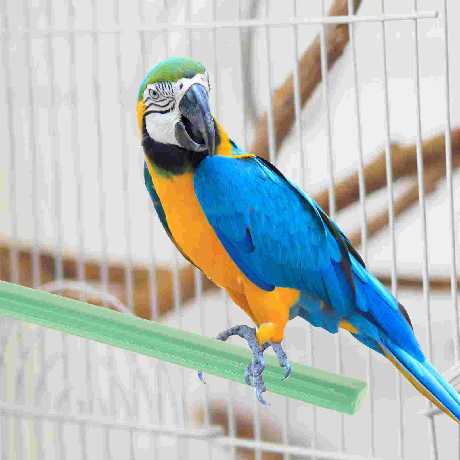 10 Pcs Bird Plastic Pole Playthings Parrot Perch Standing Rod Toy Birds Accessories Cage Grinding Claw
10 Pcs Bird Plastic Pole Playthings Parrot Perch Standing Rod Toy Birds Accessories Cage Grinding Claw
