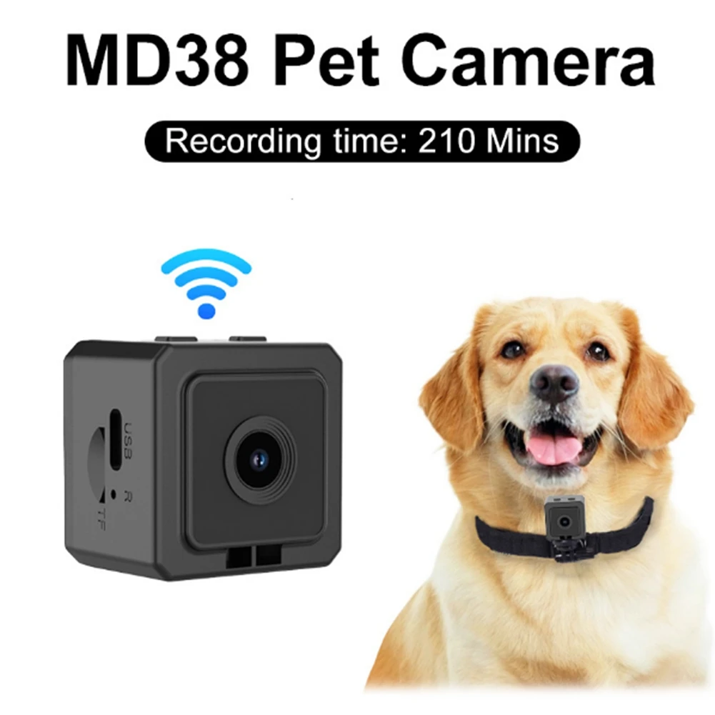 Видеорегистратор L60A Volg 1080P HD для камеры на ошейнике животных, беспроводная Wi-Fi камера с магнитным креплением для собак и кошек
Видеорегистратор L60A Volg 1080P HD для камеры на ошейнике животных, беспроводная Wi-Fi камера с магнитным креплением для собак и кошек