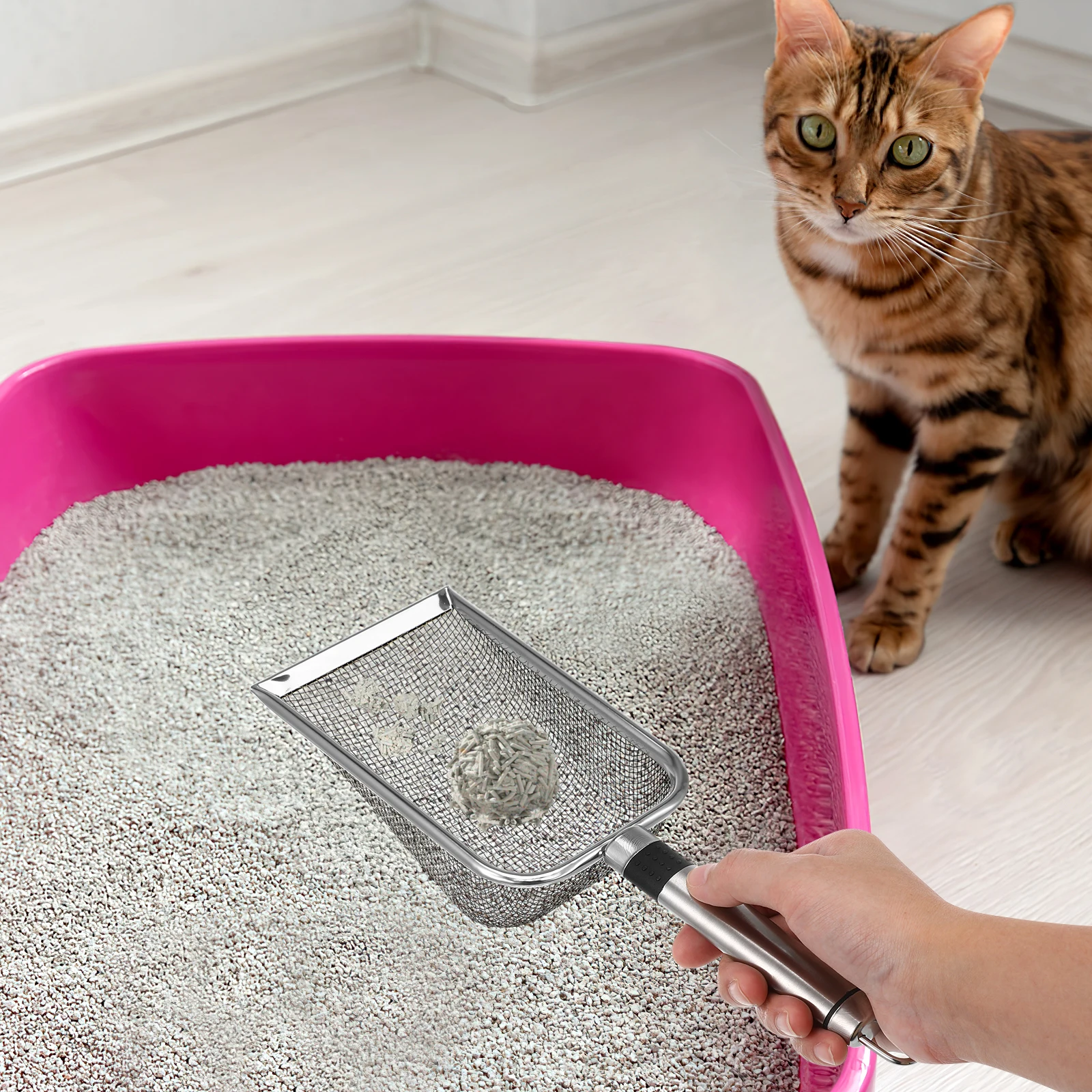 Stainless Steel Cat Litter Scoop Large Mesh Silver Sand Sifter for Kitten Metal Litter Box Cleaning Tool Practical Wear
Stainless Steel Cat Litter Scoop Large Mesh Silver Sand Sifter for Kitten Metal Litter Box Cleaning Tool Practical Wear